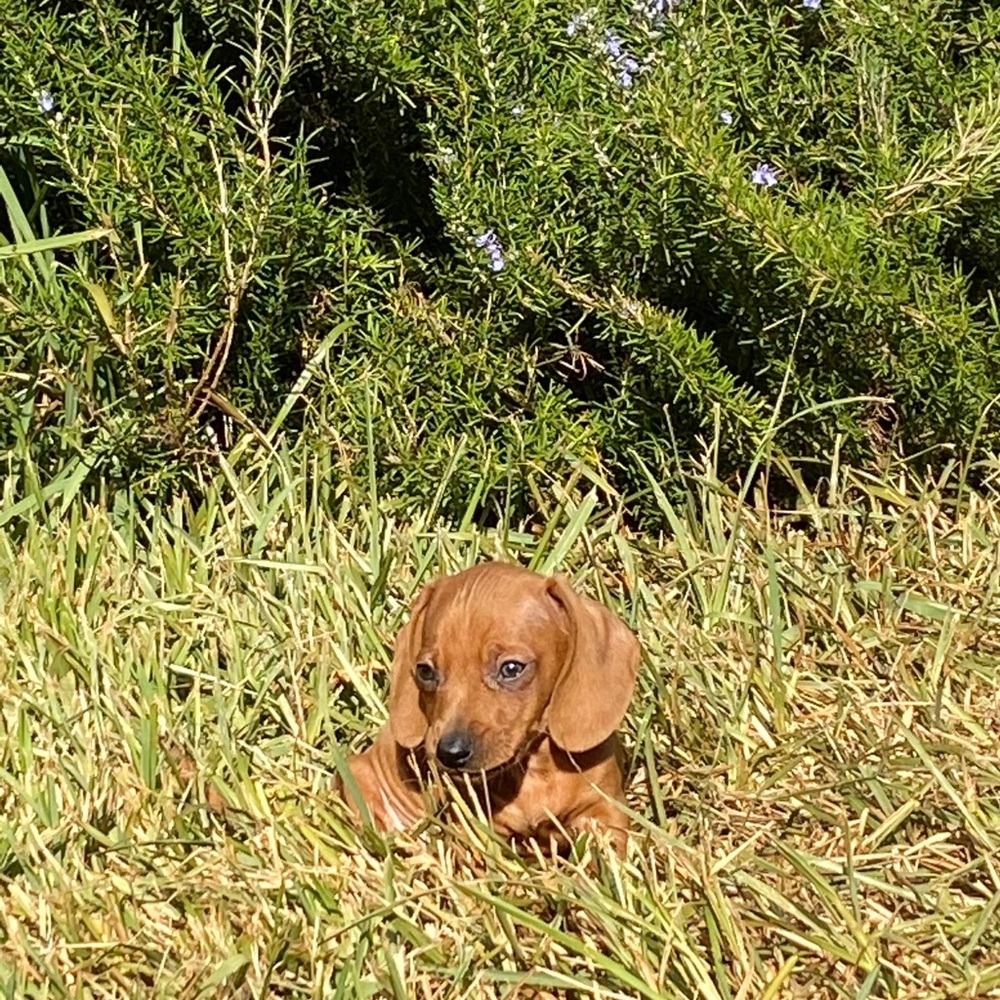 Meet your Posher, Glenda